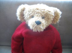 bear red_01